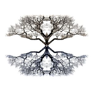 Lying in the Shade (Single)