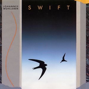 Swift (Der Mauersegler)