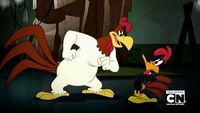 Daffy Duck, le coq