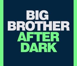 image-https://media.senscritique.com/media/000010368501/0/big_brother_after_dark.jpg