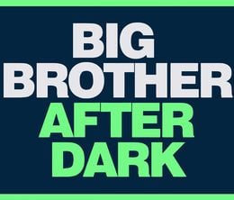 image-https://media.senscritique.com/media/000010368506/0/big_brother_after_dark.jpg