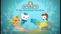 Les octonauts et les poissons-perroquets