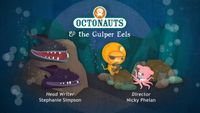 Les octonauts et les grandgousiers-pélicans