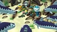 Les Octonauts et les barracudas