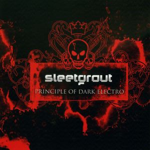 Principle of Dark Electro