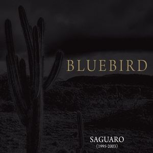 Saguaro (1995-2003)