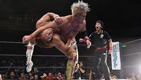 Wrestle Kingdom 7: Main Event