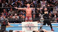New Japan Cup 2013 Final