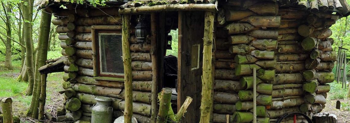 Cover Amazing Spaces: Shed of the Year