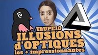 TOP 10 des ILLUSIONS D'OPTIQUES les plus impressionnantes