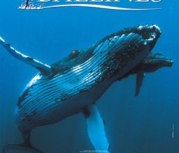 image-https://media.senscritique.com/media/000010434175/0/baleines.jpg