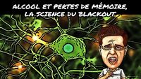 Alcool & pertes de mémoire, La science du blackout