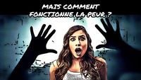 Mais comment fonctionne la peur ?