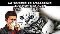 La science de l'allergie aux poils de chat