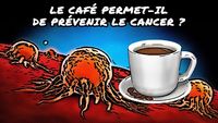 Le café permet-il de prévenir le cancer ?