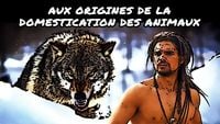 Aux origines de la domestication des animaux