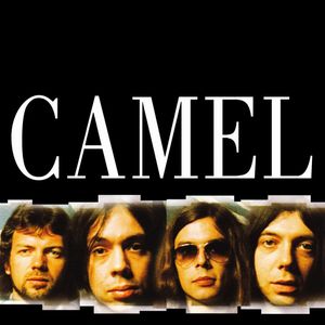 Master Series: Camel