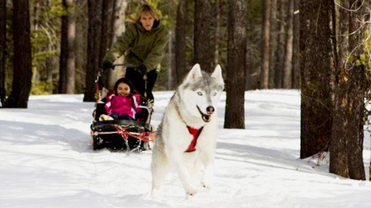 Кевин костнер зов предков. Зов предков 2009. Зов предков 2009. Эриель гейд. Зов предков 2009.