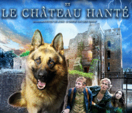 image-https://media.senscritique.com/media/000010485081/0/truffe_et_le_chateau_hante.gif