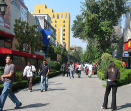 image-https://media.senscritique.com/media/000010485560/0/zona_rosa.jpg