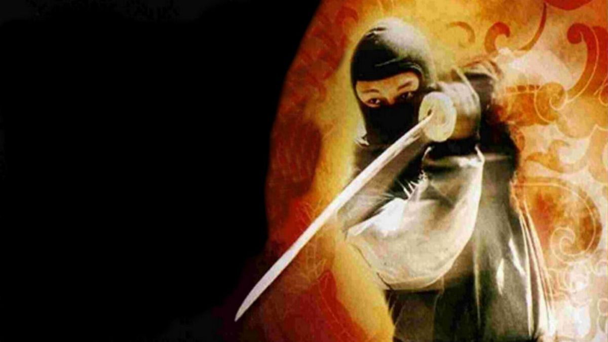 Ninjas En Guerre Film Senscritique