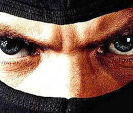 image-https://media.senscritique.com/media/000010486205/0/ninjas_en_guerre.jpg