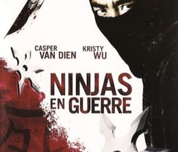 image-https://media.senscritique.com/media/000010486207/0/ninjas_en_guerre.jpg