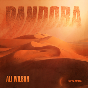 Pandora (Dyor remix)