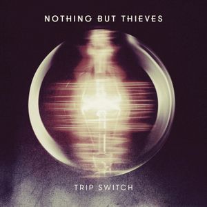 Trip Switch (Single)