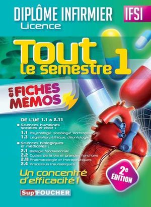 Tout le semestre 1 en fiches mémos - DEI - 2e édition