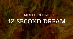 42 second dream