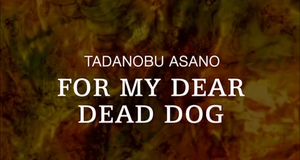 For My Dear Dead Dog