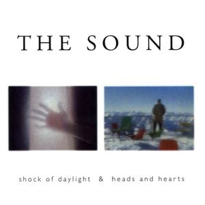 Shock of Daylight / Heads and Hearts