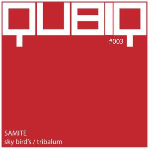 Qubiq #003: Sky Birds / Tribalum (Single)