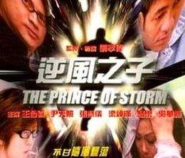 image-https://media.senscritique.com/media/000010599819/0/the_prince_of_storm.jpg