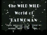 The Wild World of Batwoman