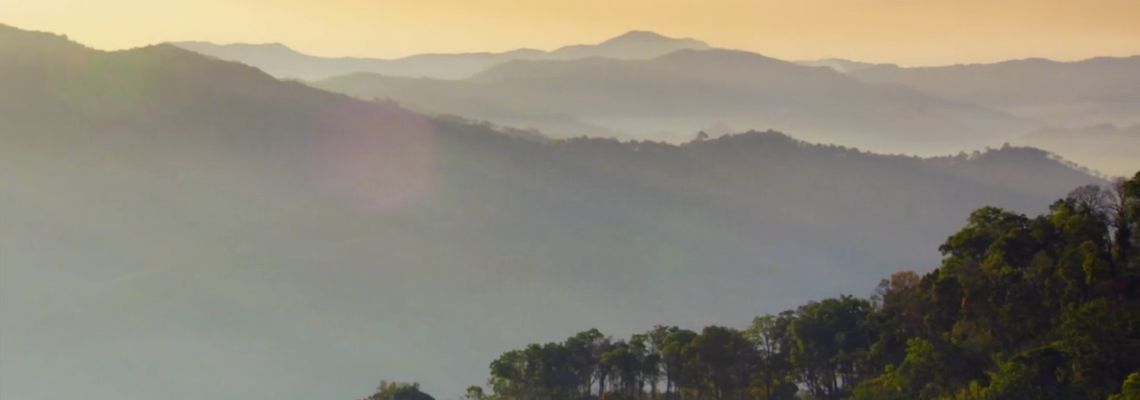 Cover Wild Burma: Nature's Lost Kingdom