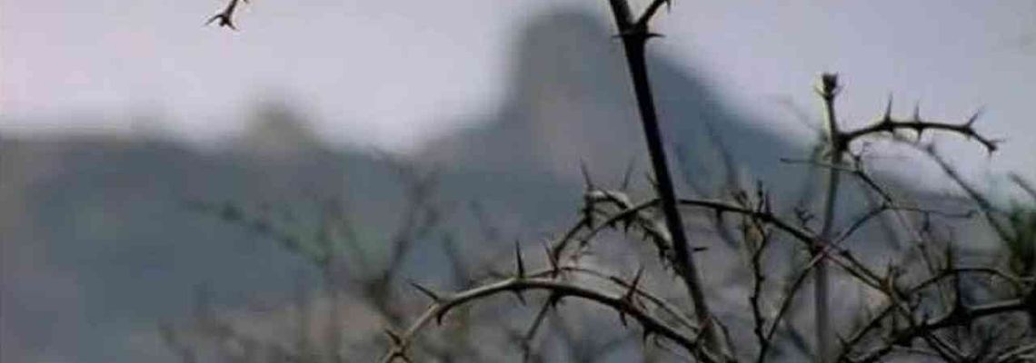 Cover The Crimean War