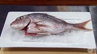 Elimination Challenge: Three Dishes from One Snapper