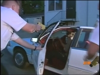 Tased & Confused Special Edition