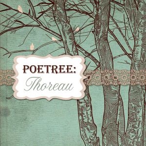 Poetree: Thoreau