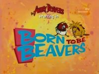 Born to Be Beavers