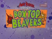 Boxtop Beavers