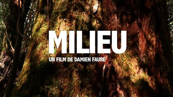 Milieu