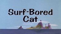 Tom : surfeur