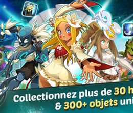 image-https://media.senscritique.com/media/000010735076/0/wakfu_raiders_jeu_jeux_lignemagie_heros.jpg