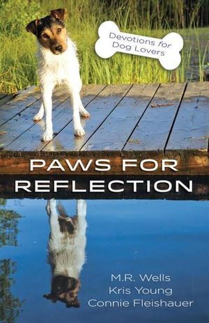 Paws for Reflection