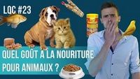 Quel est le goût de la nourriture pour animaux ?