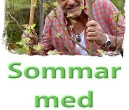 image-https://media.senscritique.com/media/000010768500/0/sommar_med_ernst.jpg