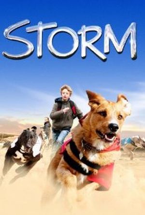 Storm, mon chien, mon ami